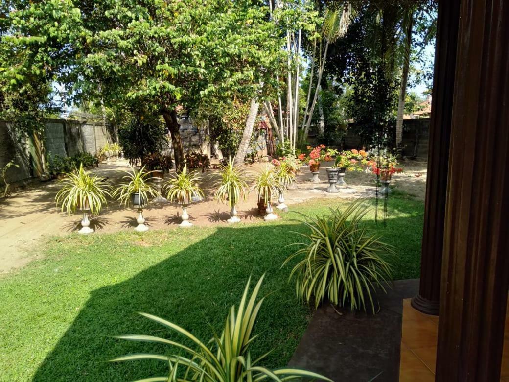 Lidwins Inn 15 Minutes To The Airport Negombo Exteriör bild